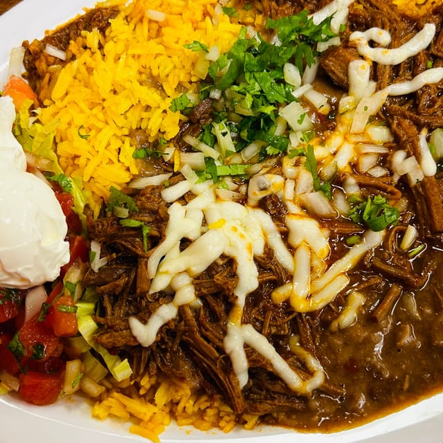BIRRIA DISH.