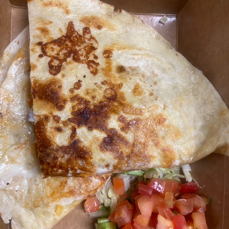 Indulge in Our Quesadilla